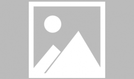 东麻豆,千年古村的文化传承与乡村振兴之路