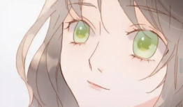 双性漫画,双性漫画中的多元视角与情感共鸣